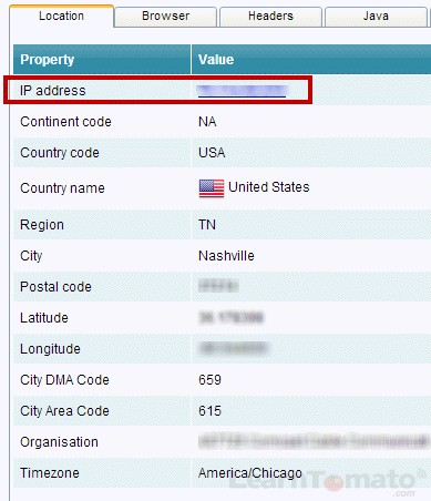 Using analyzemy.net to discover your public IP address