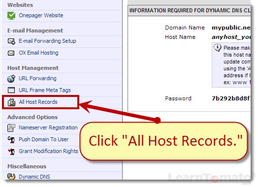 Click All Host Records to display All Dynamic DNS host records for this domain name.