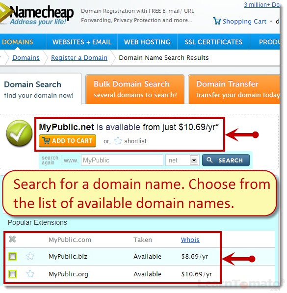 Order a domain from Namecheap